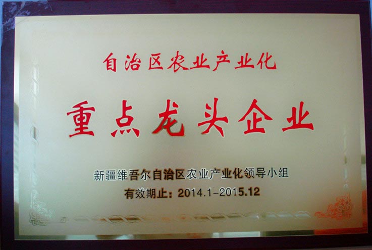 2014年重點(diǎn)龍頭企業(yè)