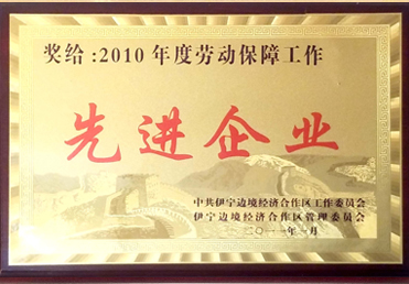 先進(jìn)企業(yè)