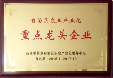 重點(diǎn)龍頭企業(yè)