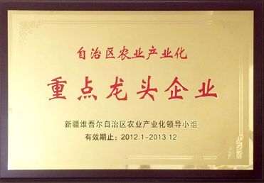 重點(diǎn)龍頭企業(yè)